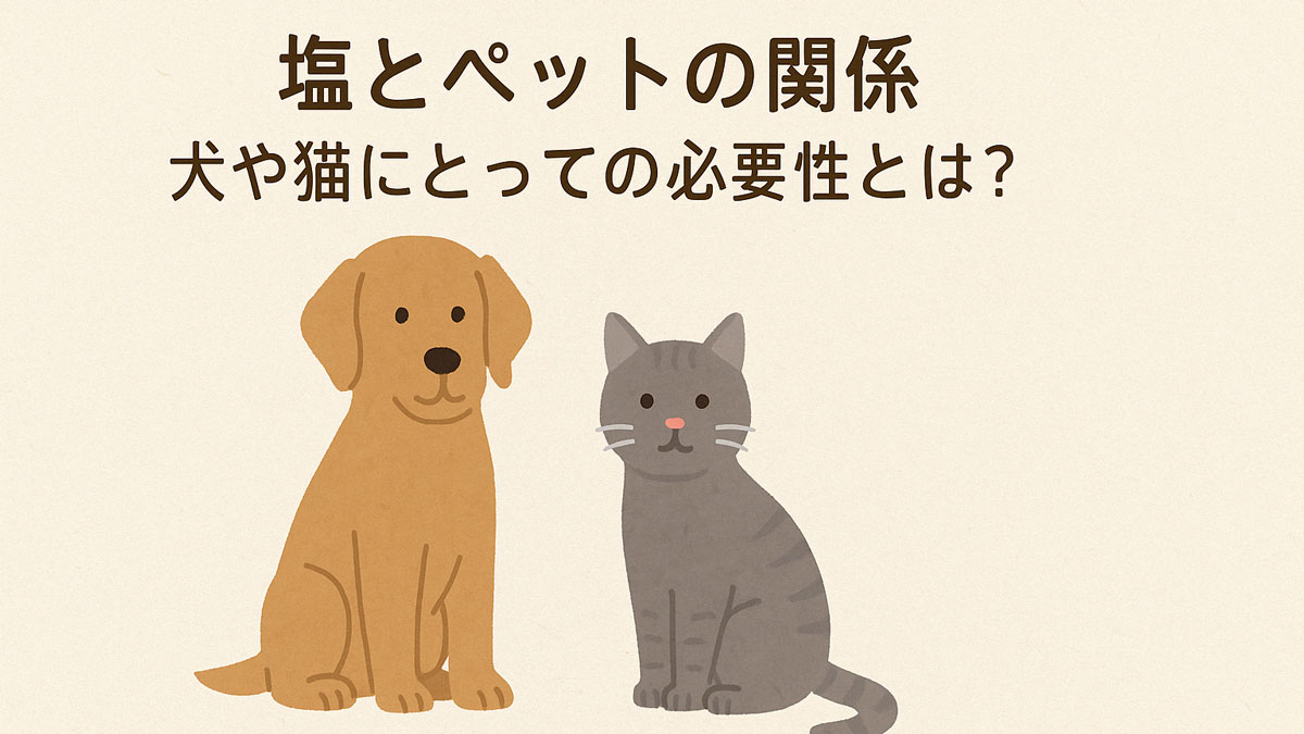 優しい表情の犬と猫が並んで座り、「塩とペットの関係 犬や猫にとっての必要性とは？」という日本語テキストが中央に配置されたナチュラル系のイラスト画像。