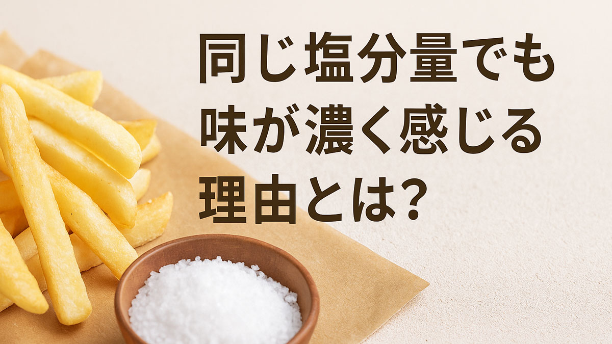 同じ塩分量でも味が濃く感じる理由を示すイメージ。フライドポテトと粗塩を組み合わせた構図
