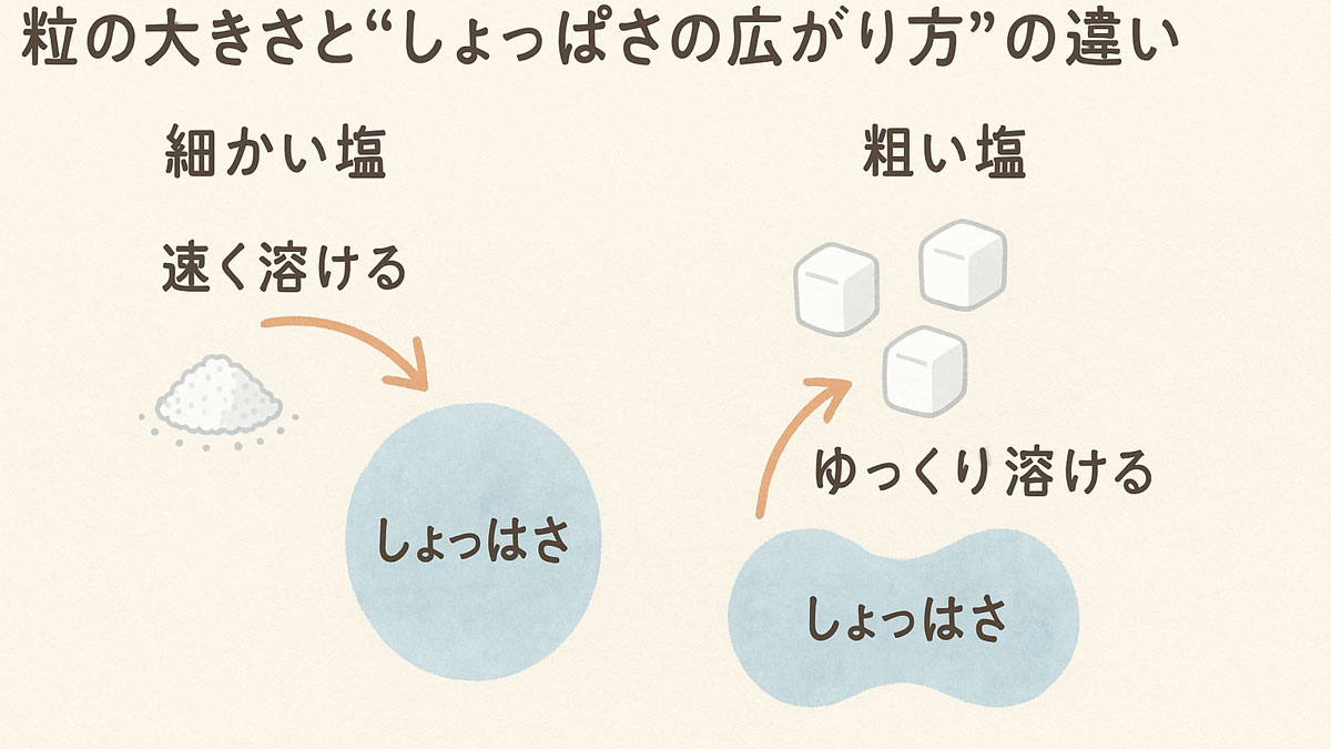 粒の大きさによる塩の溶け方と味の広がり方の違いを示したイメージ図